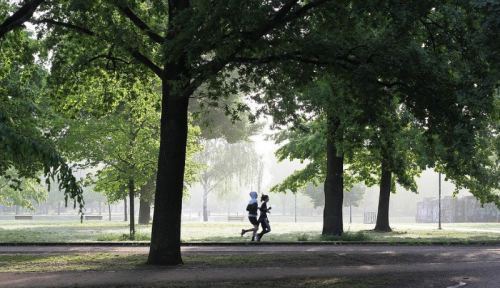 Après le réconfort, voici le temps de l'effort : faites du sport !